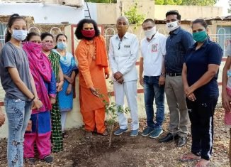 विप्र फाउंडेशन बांसवाडा द्वारा विश्व पर्यावरण "वृक्ष लगाओ प्रकृति बढ़ाओ" अभियान की शुरुआत।