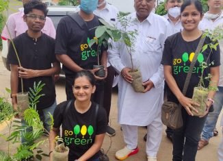 विप्र फाउंडेशन परिवार रायपुर शहर शाखा द्वारा आज वृक्षारोपण कार्यक्रम।