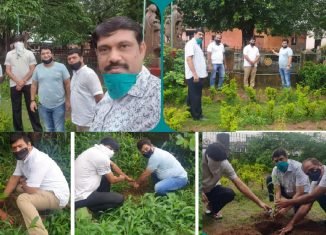 विप्र फाउंडेशन राउरकेला इकाई ने वृक्षारोपण कर के मनाया श्री सुशील ओझा का जन्मदिन।