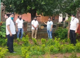 विप्र फाउंडेशन कटक शाखा द्वारा पर्यावरण दिवस पर वृक्षारोपण।