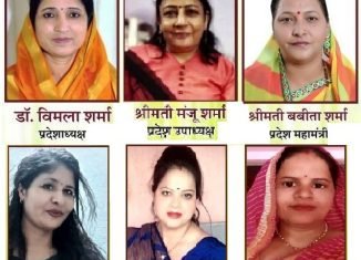 विप्र फॉउंडेशन राजस्थान ज़ोन-1 डी की महिला प्रकोष्ठ का विस्तार।