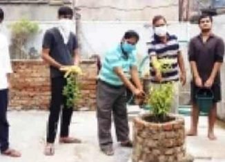 विप्र फाउंडेशन जोन-१डी में सवाई माधोपुर में किया पौधारोपण।
