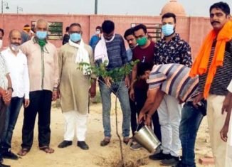 विप्र फाउंडेशन युवा प्रकोष्ठ बीकानेर ने किया पौधारोपण।