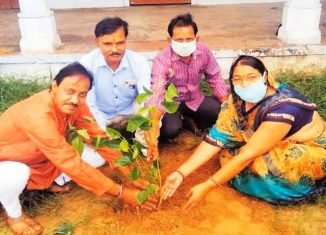 विप्र फाउंडेशन के पदाधिकारियों ने किया पौधारोपण।