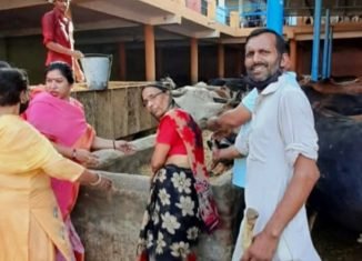 विप्र फाउन्डेशन हनुमानगढ़ द्वारा पितृ अमावस्या को नारायण पूजा, गीता पाठ और गोसेवा संपन्न।