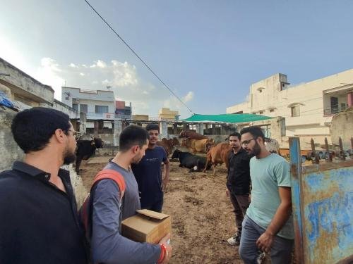 गौमाता के लिए निःशुल्क दवा वितरण अभियान